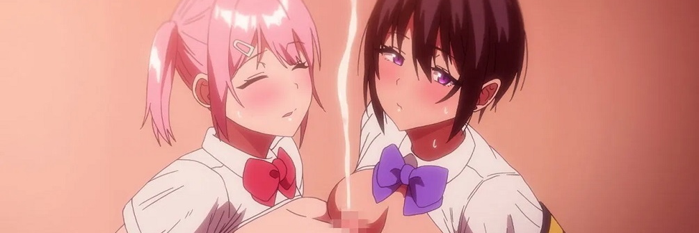 Fuuki Iin to Fuuzoku Katsudou